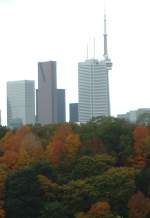 Autumn colours in Toronto, Canada