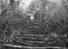 Yamana or Alacalouf Portage.jpg (113368 bytes)
