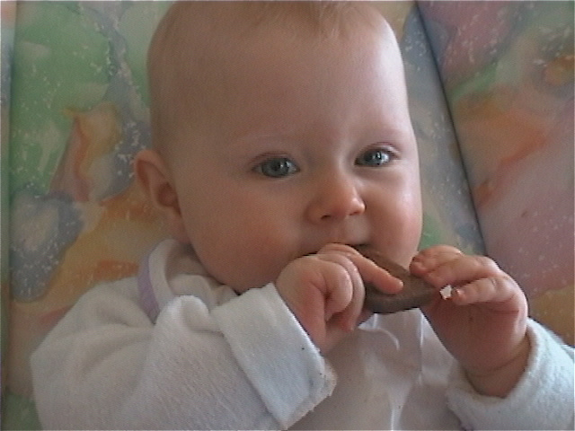 Eating Cookie