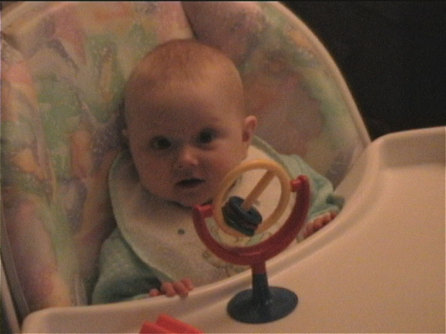 Eating Cookie