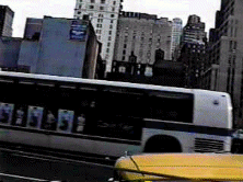 nyc-mov.gif (128399 bytes)