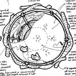 Nest sketch