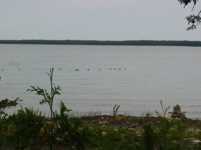 DSC00053.JPG