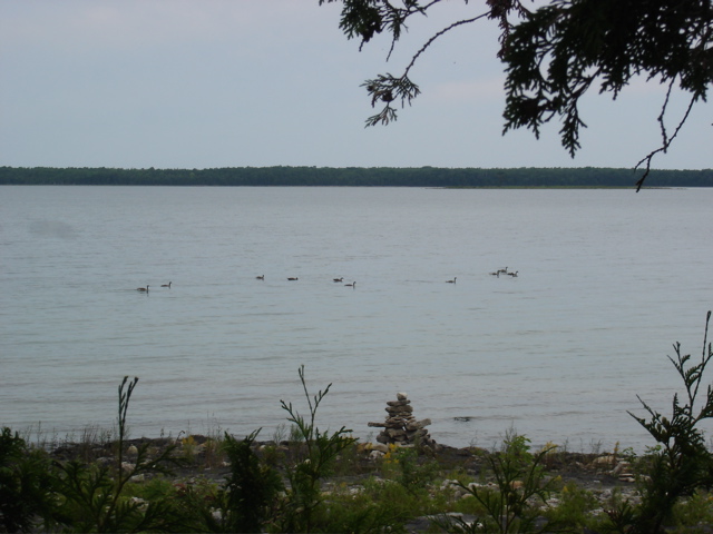 DSC00058.JPG