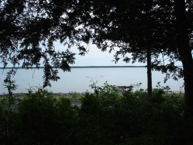 DSC00059.JPG