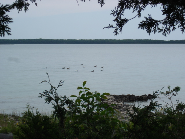 DSC00061.JPG