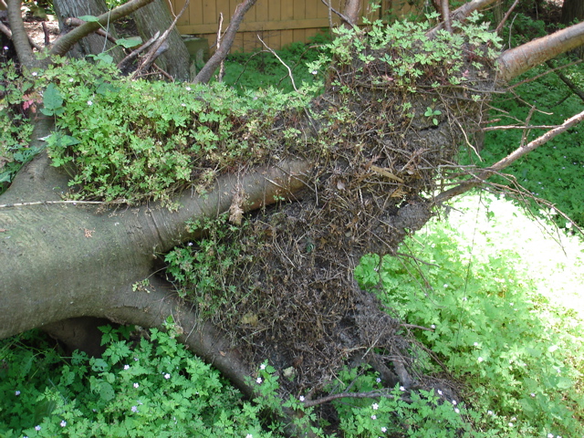DSC00014.JPG