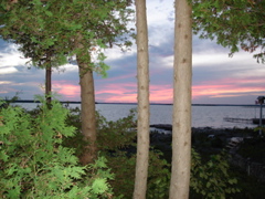 DSC00001.JPG