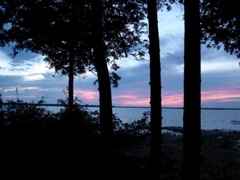 DSC00005.JPG