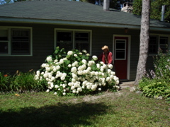 DSC00023.JPG