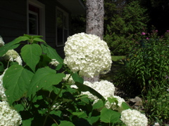 DSC00026.JPG