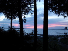 DSC00006.JPG
