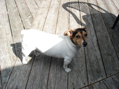 DSC00035.JPG