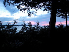 DSC00007.JPG