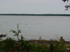 DSC00053.JPG