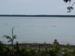 DSC00055.JPG