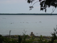 DSC00058.JPG