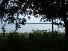 DSC00059.JPG