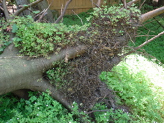 DSC00014.JPG