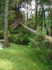 DSC00017.JPG