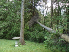 DSC00018.JPG