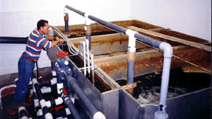 RW300 Filters