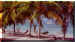 beach5.jpg (117844 bytes)