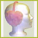 Heart 
            Shape Earmuffs