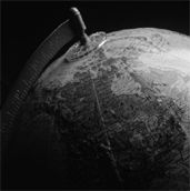 Translation Services