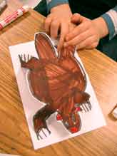 castor en papier cartonné / a drawing of a beaver given a 3D treatment