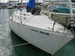 svkamotik