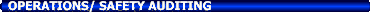 Operations/ Safety Auditing