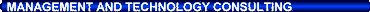 Management and Technology Consulting