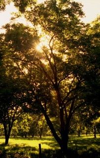 Image 53 of 73  -  34 kB