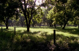 Image 52 of 73  -  30 kB
