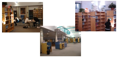 Images of the St. Thomas Aquinas Catholic Secondary School Library