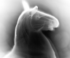 wpe21.gif (1625552 bytes)