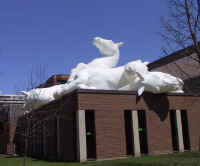horses.jpg (35024 bytes)