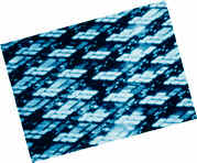 chipsblue.jpg (37913 bytes)