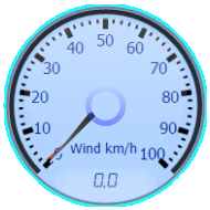 Wind Gauge