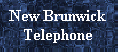 3bluebt.gif (2644 bytes)