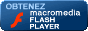 Télécharger / Download Flash Player