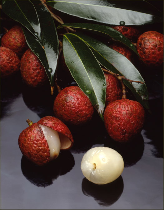 Litchi