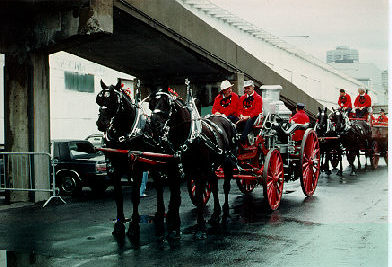 steamer w horses