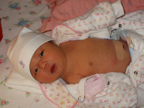 Dec 12 - Getting some sun