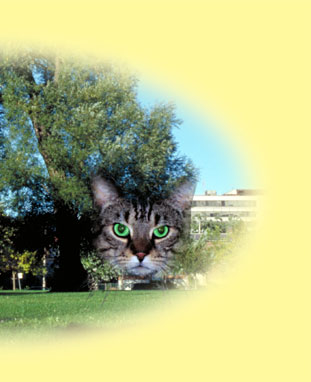 Find out more about Kramer