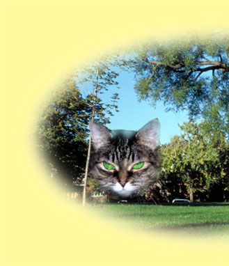 Find out more about Tabitha