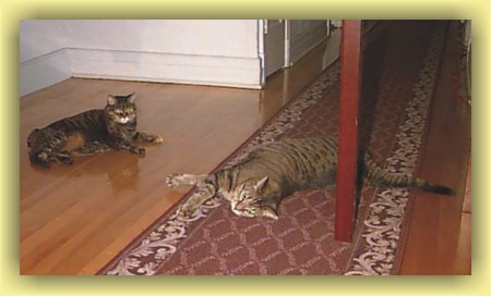 Tabitha and Kramer taking it easy