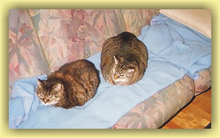 Tabitha and Kramer at bedtime