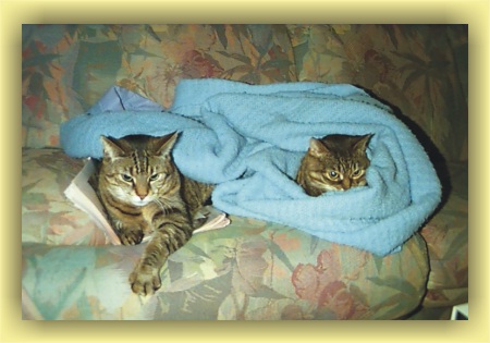 Kramer and Tabitha tucked in for the night